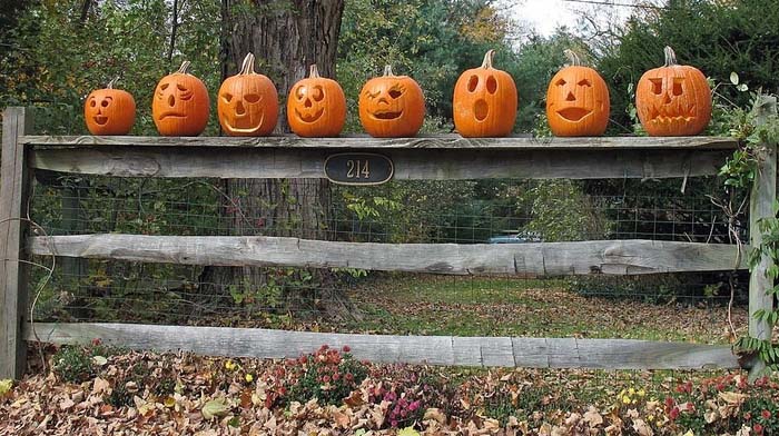 Pumpkin fence